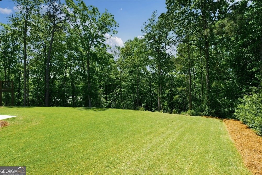 110 Emily Court Carrollton - Photo 49