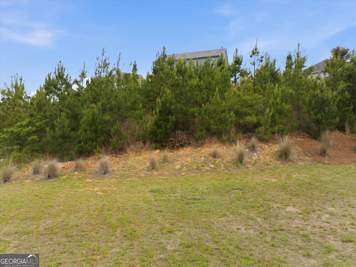 250 SWEET BAY Lane Dallas - Photo 54