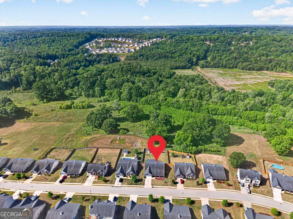 675 River Mist Circle Jefferson - Photo 43