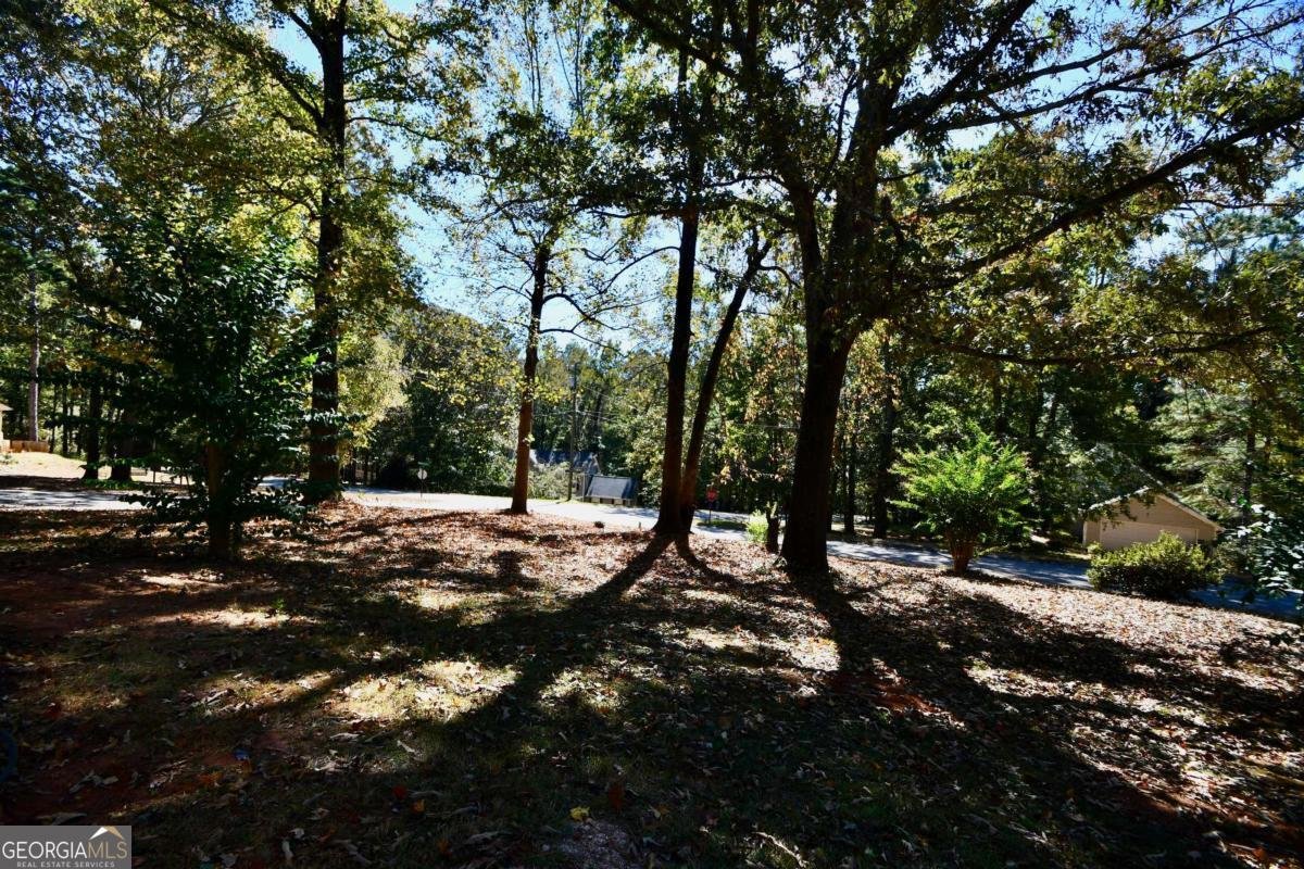 110 Thomas Trail Covington - Photo 30