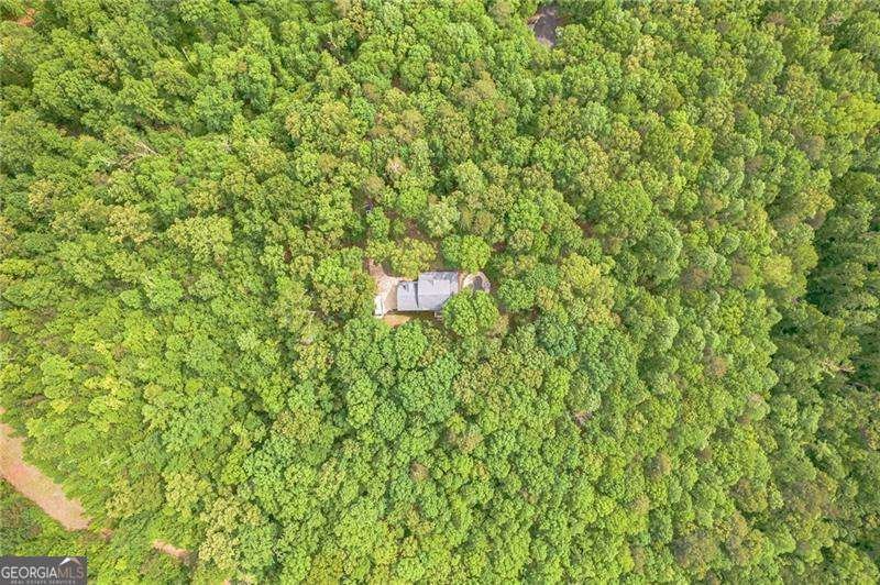 202 Windy Ridge Court Dawsonville - Photo 10
