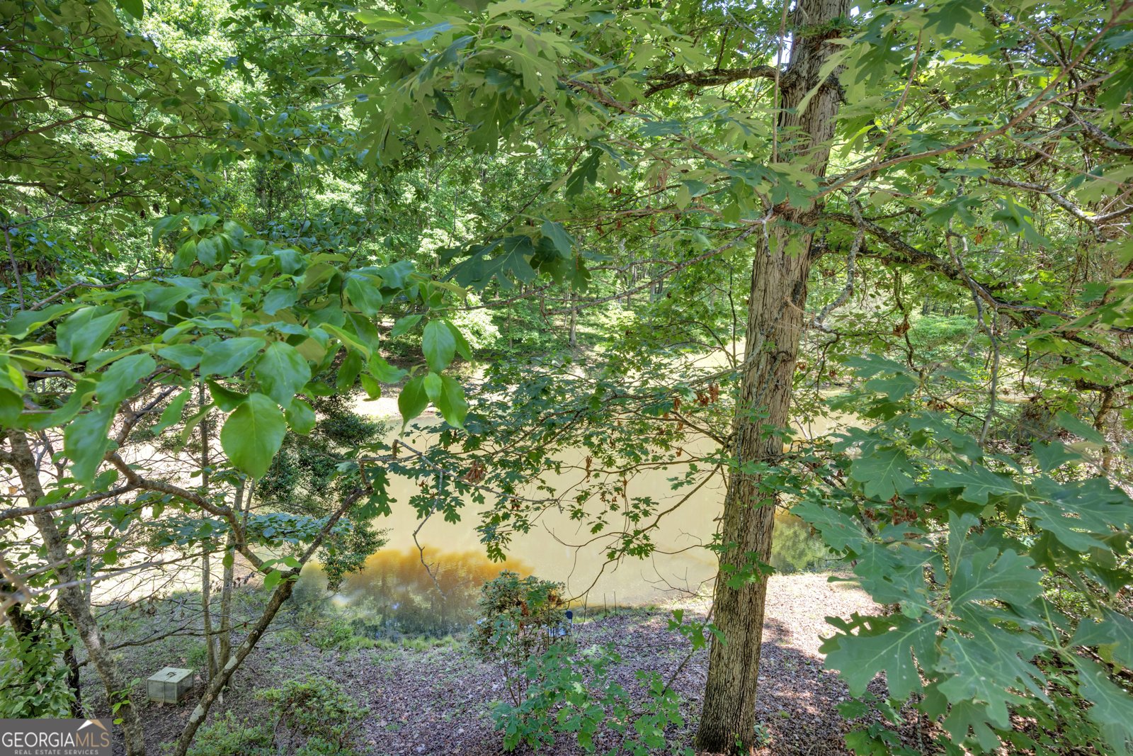 400 River Cove Road Social Circle - Photo 66