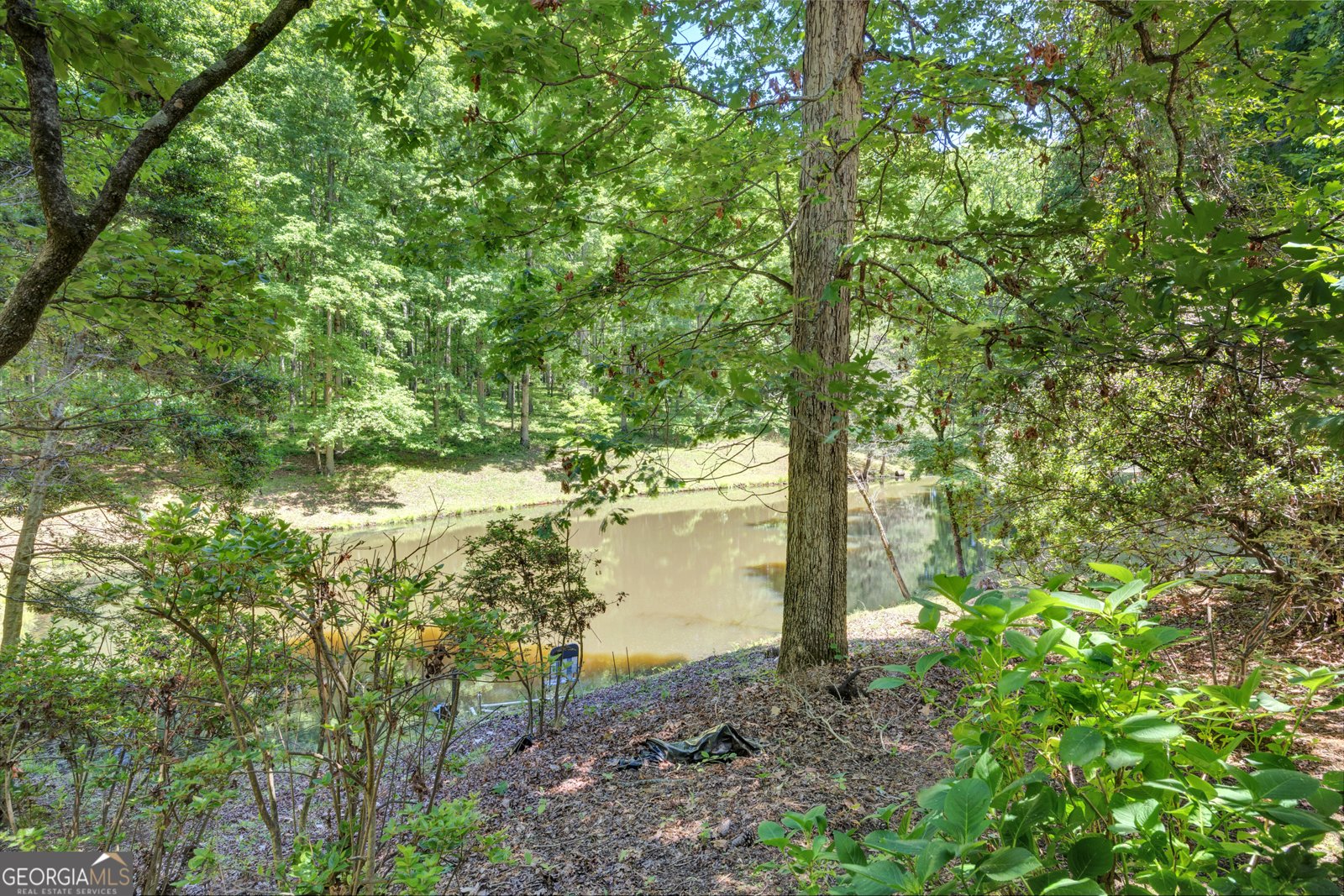 400 River Cove Road Social Circle - Photo 72