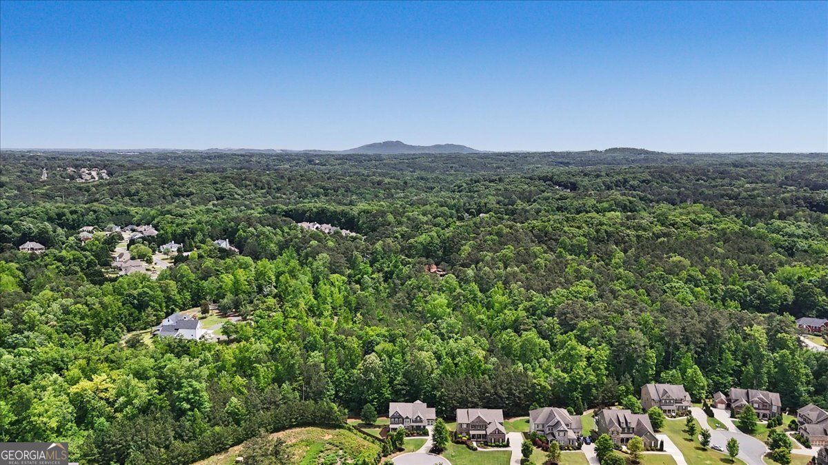 2722 Bowmore Court Acworth - Photo 68