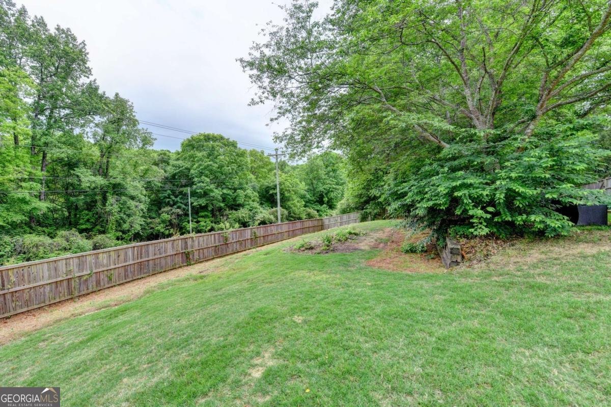 4738 Thunder River Drive Gainesville - Photo 74