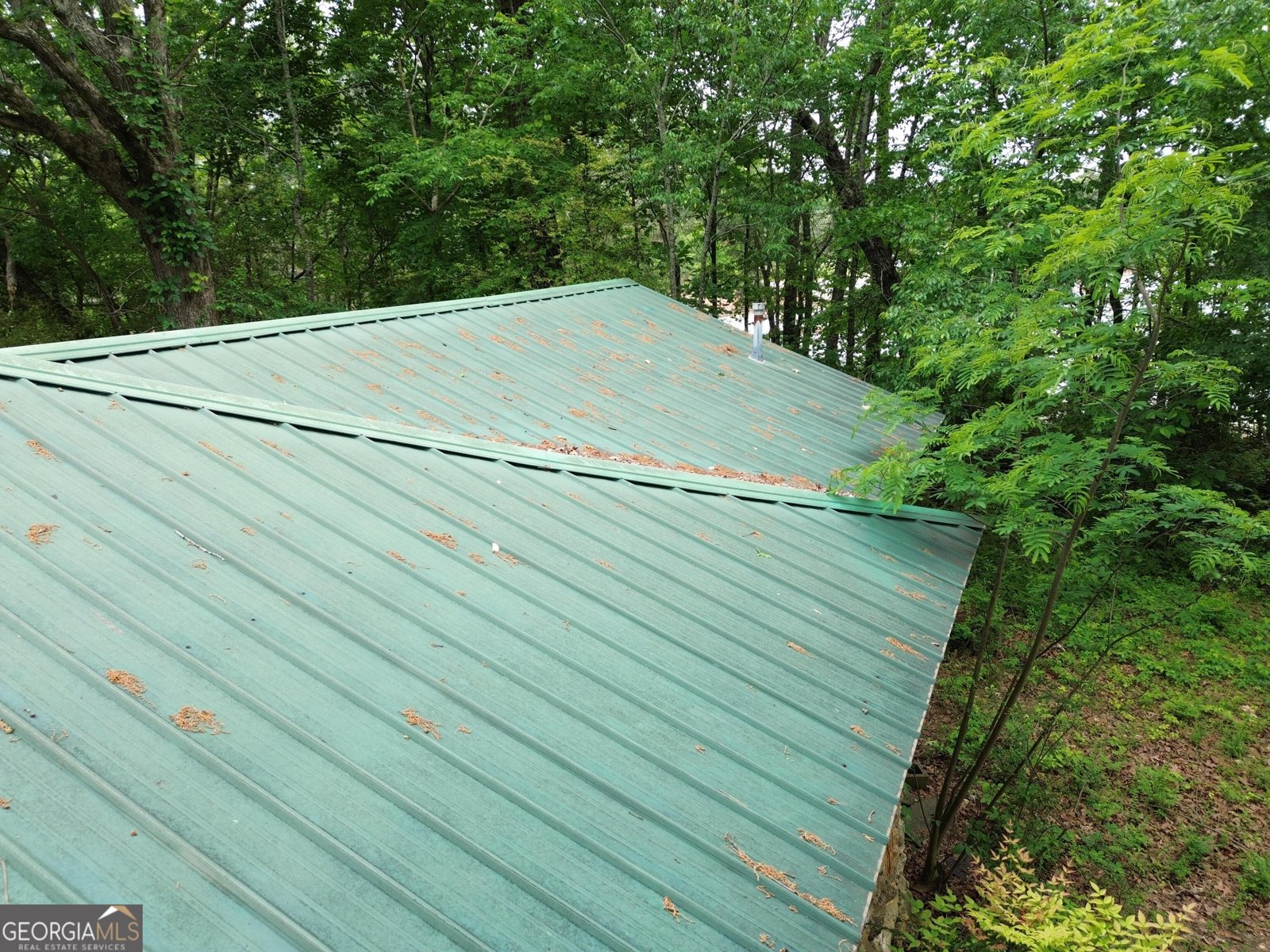 269 Perry Lane Buchanan - Photo 14