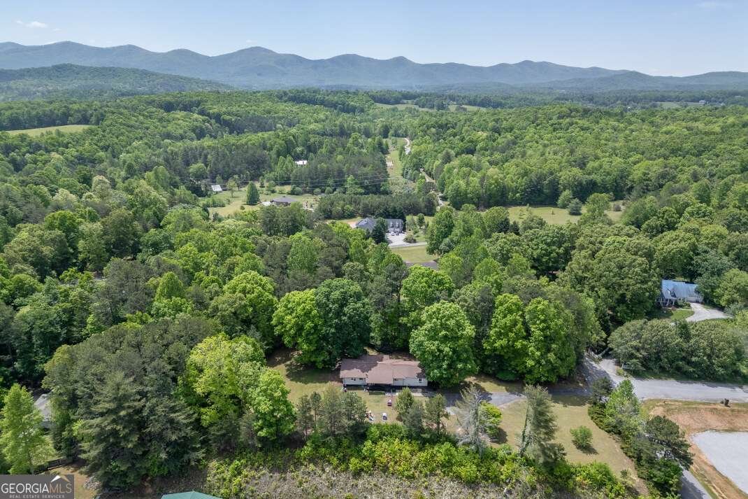99 Copperhead Road Blairsville - Photo 39