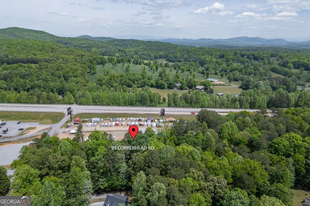 99 Copperhead Road Blairsville - Photo 40