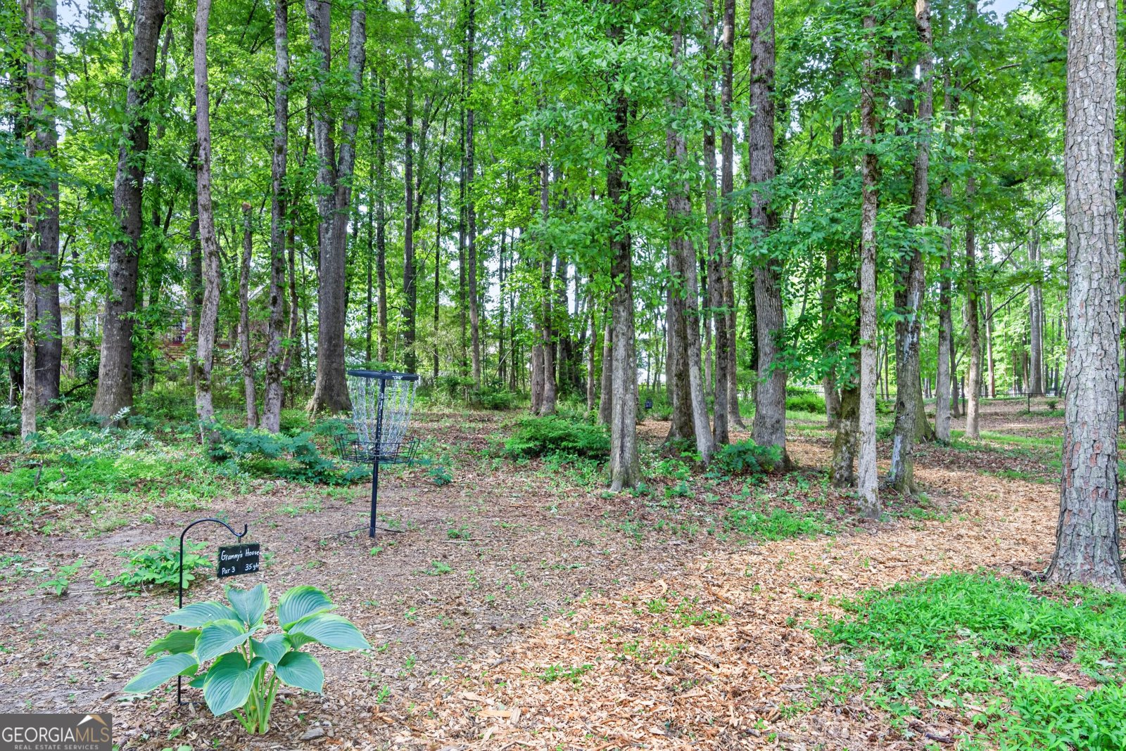 245 Ryans Court Sharpsburg - Photo 49
