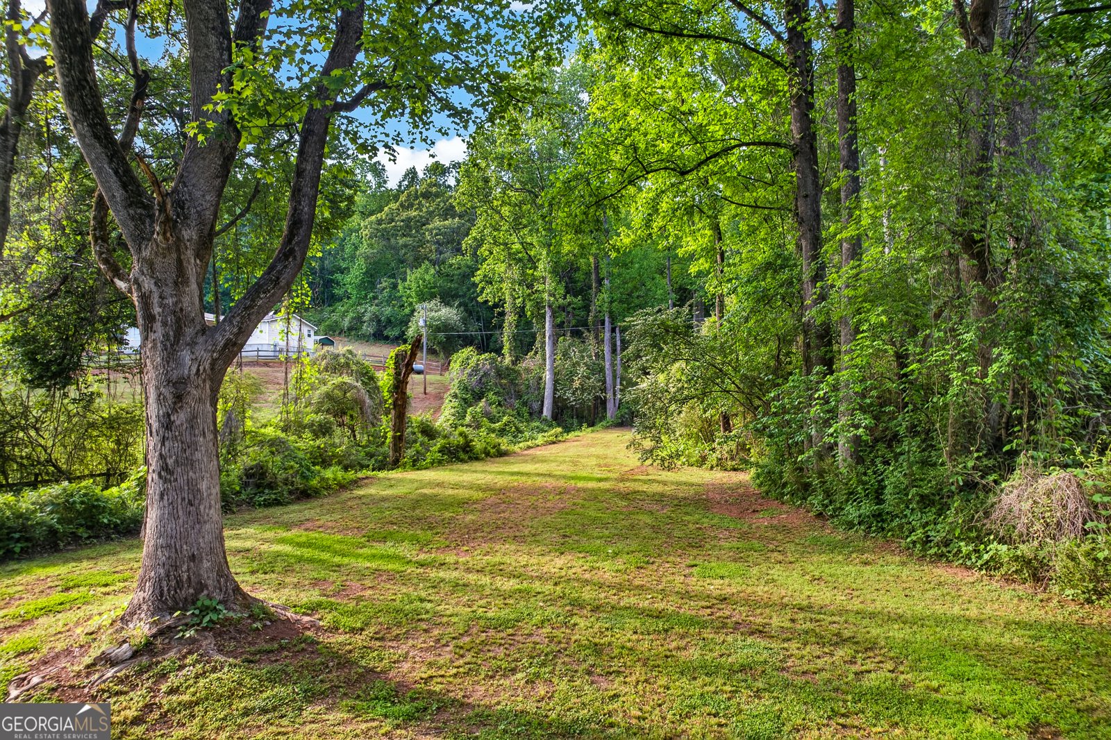 165 Porter Springs Road Dahlonega - Photo 6