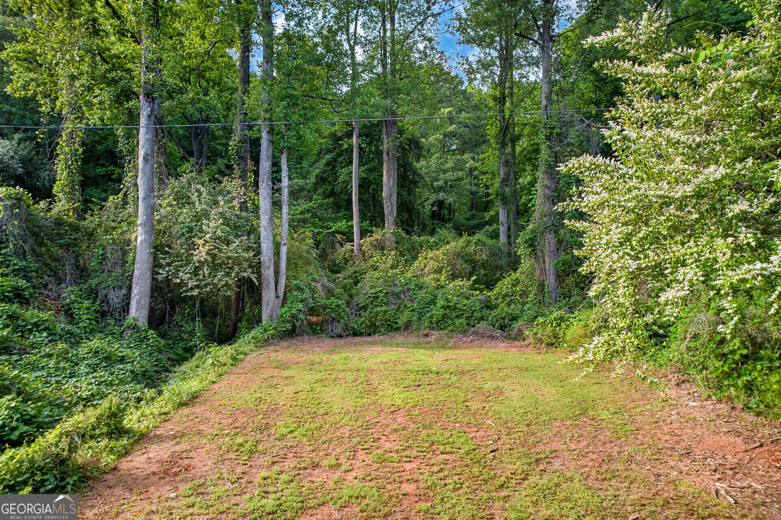 165 Porter Springs Road Dahlonega - Photo 7