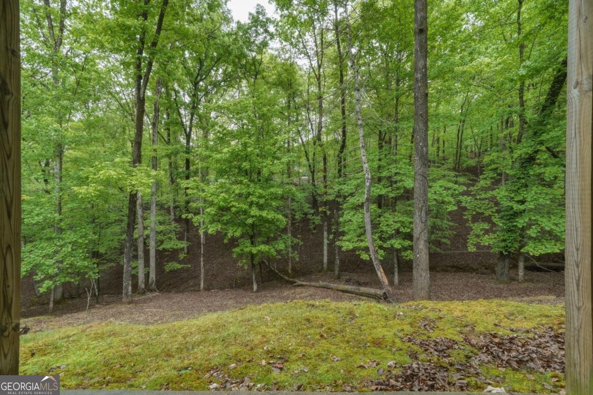 165 Pelican Drive Ellijay - Photo 39