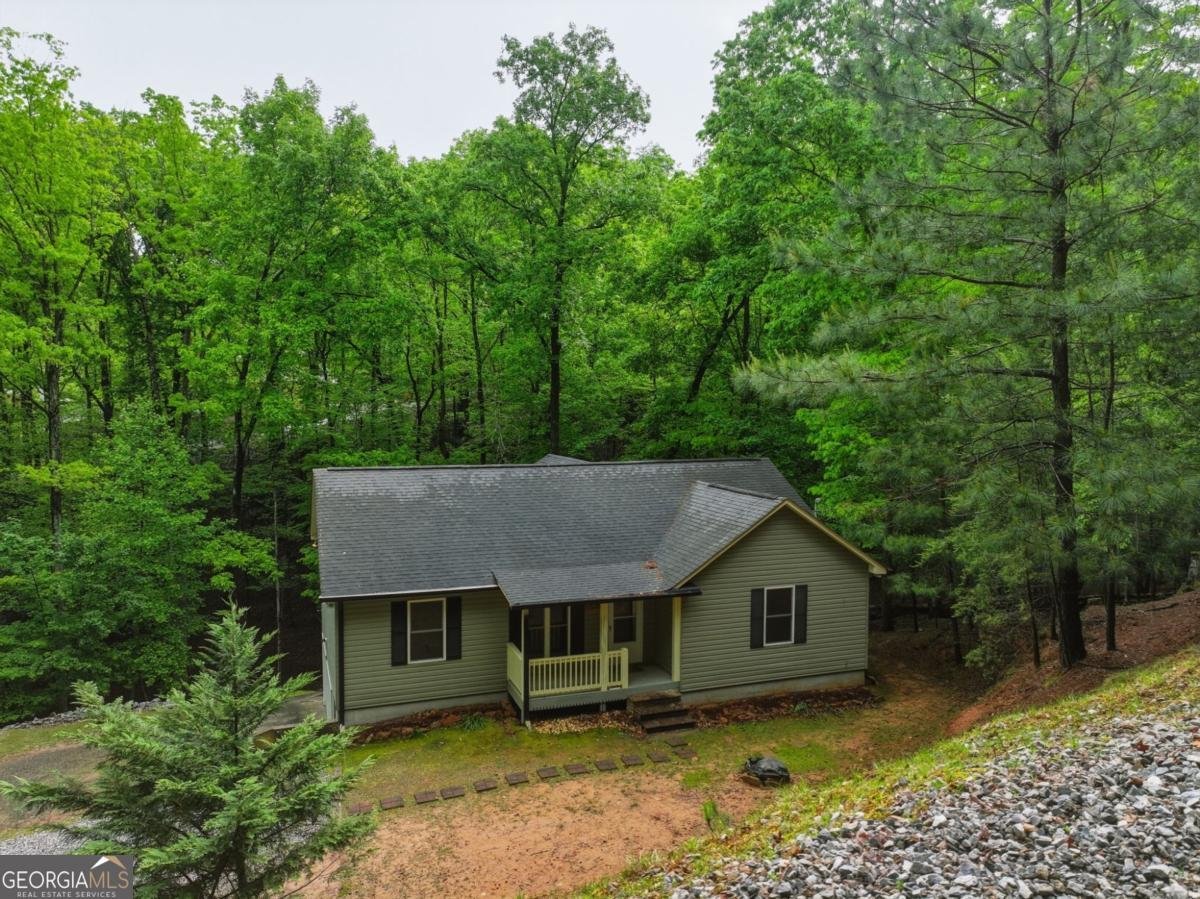 165 Pelican Drive Ellijay - Photo 40