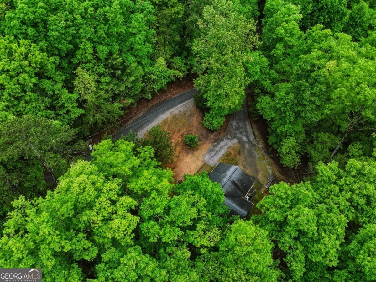 165 Pelican Drive Ellijay - Photo 45