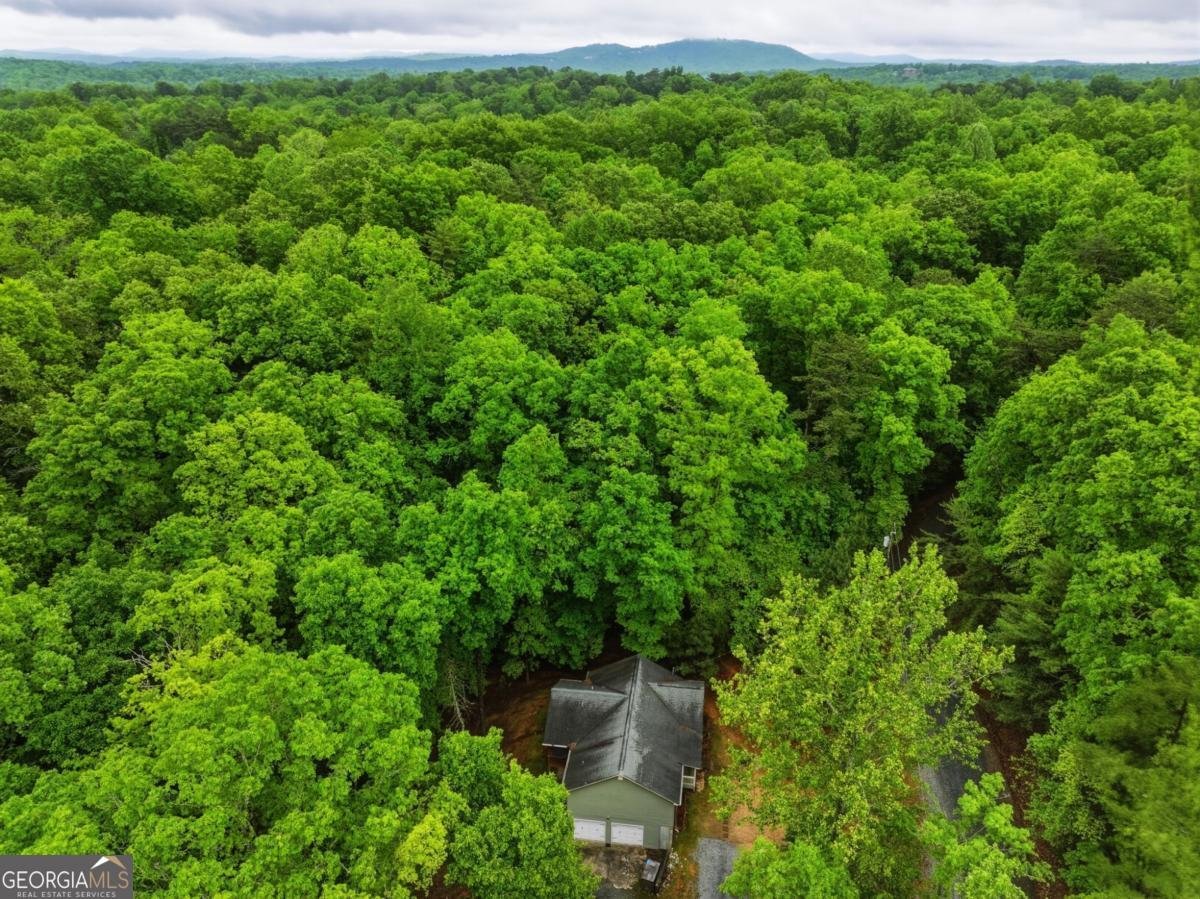 165 Pelican Drive Ellijay - Photo 6