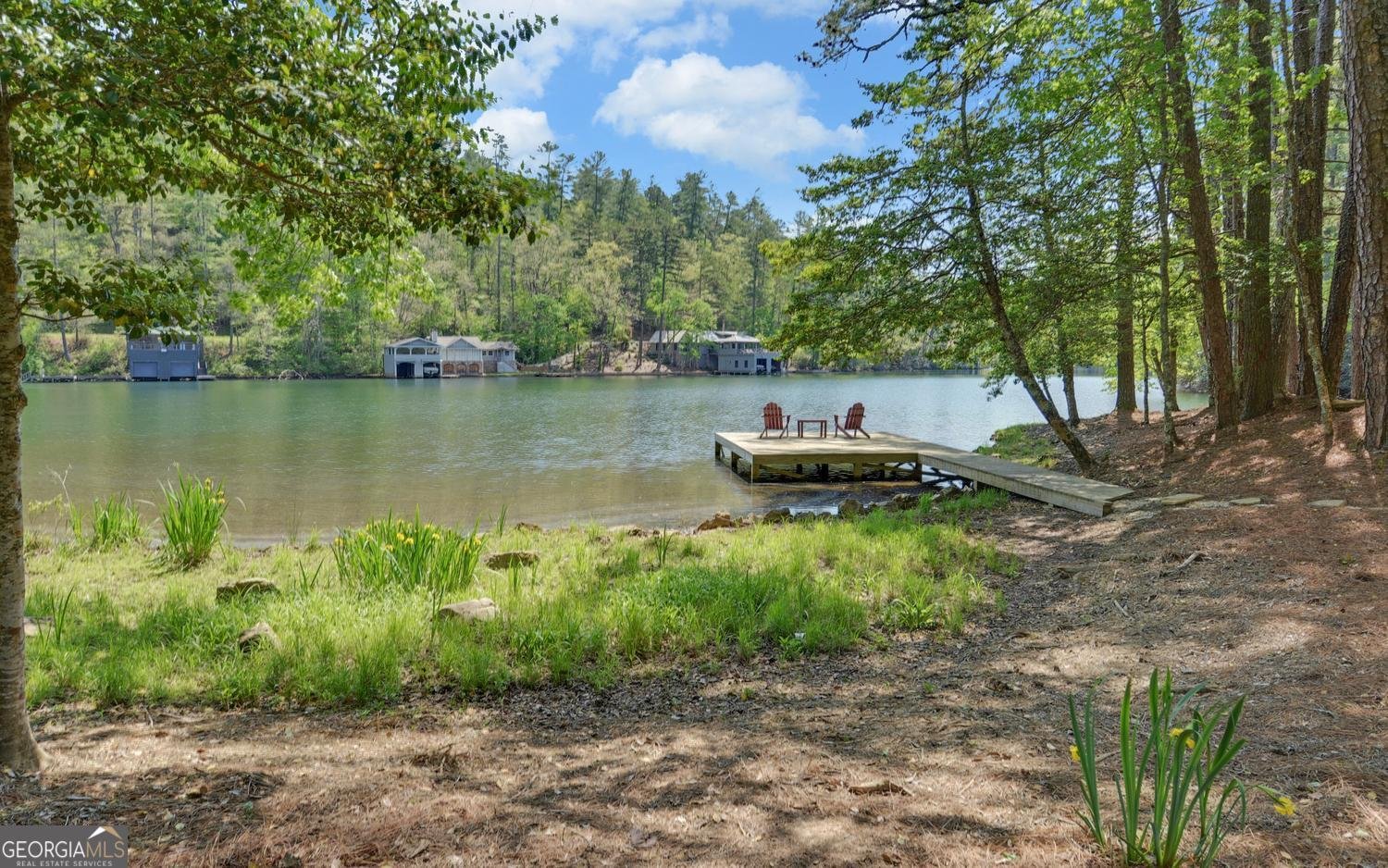 2857 Crow Creek Road Lakemont - Photo 48
