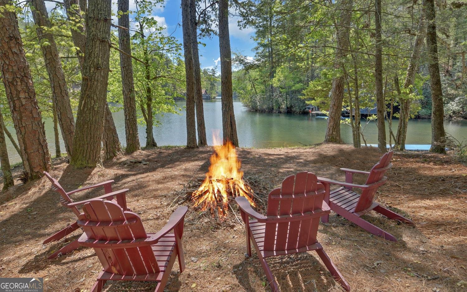 2857 Crow Creek Road Lakemont - Photo 51