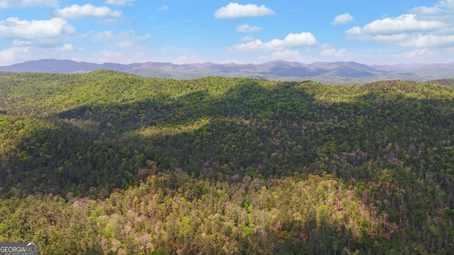 2857 Crow Creek Road Lakemont - Photo 74