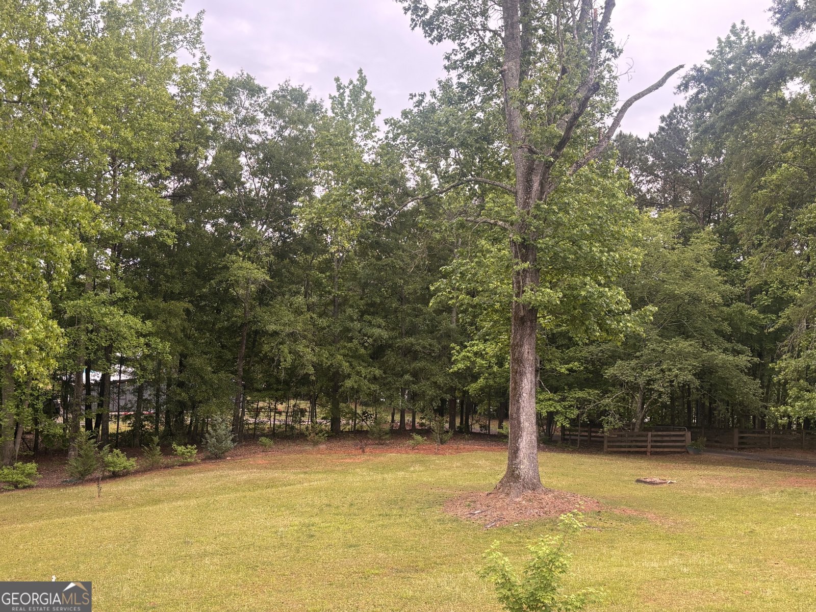 1110 Old Driver Road Whitesburg - Photo 29
