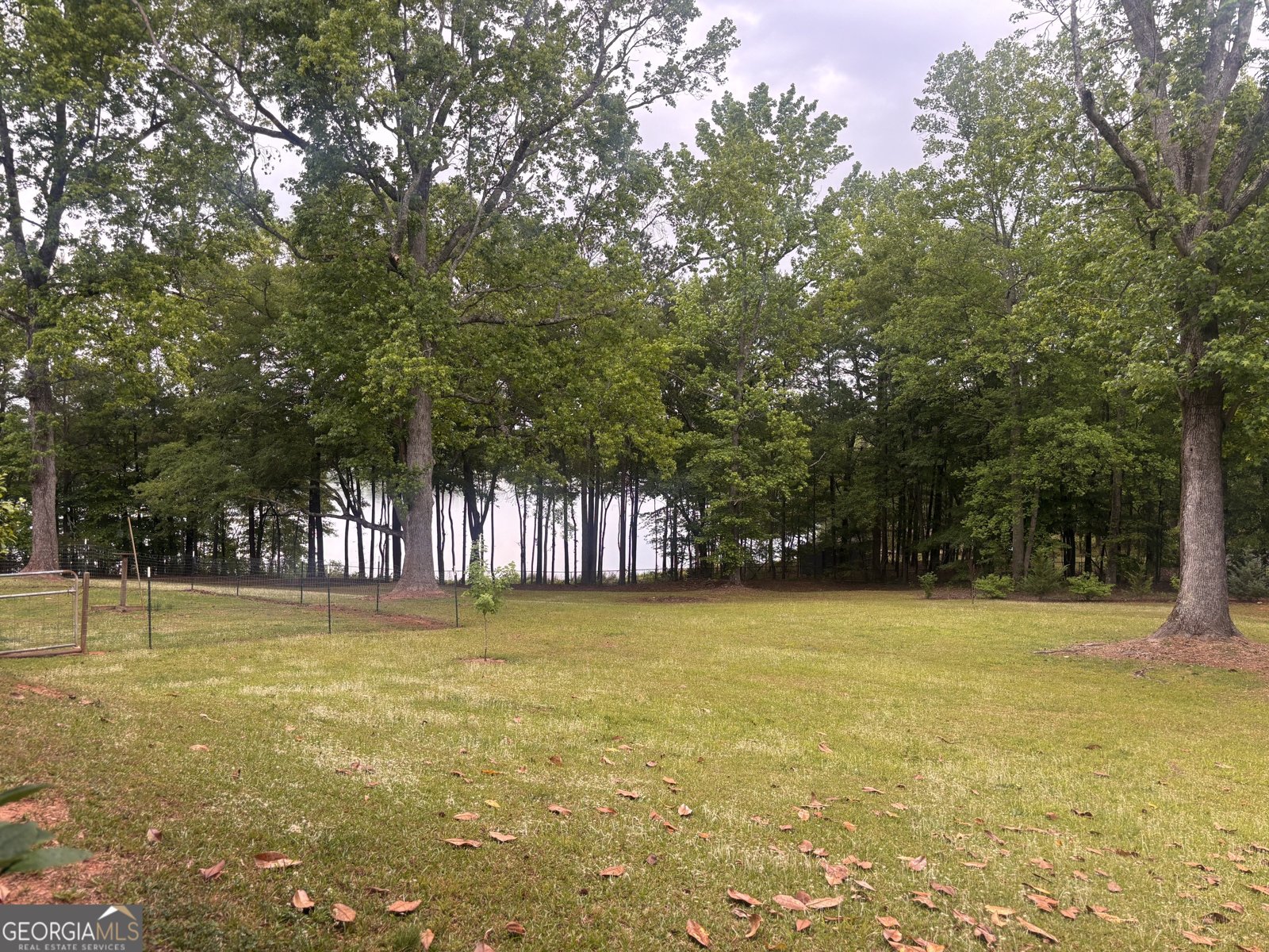 1110 Old Driver Road Whitesburg - Photo 30
