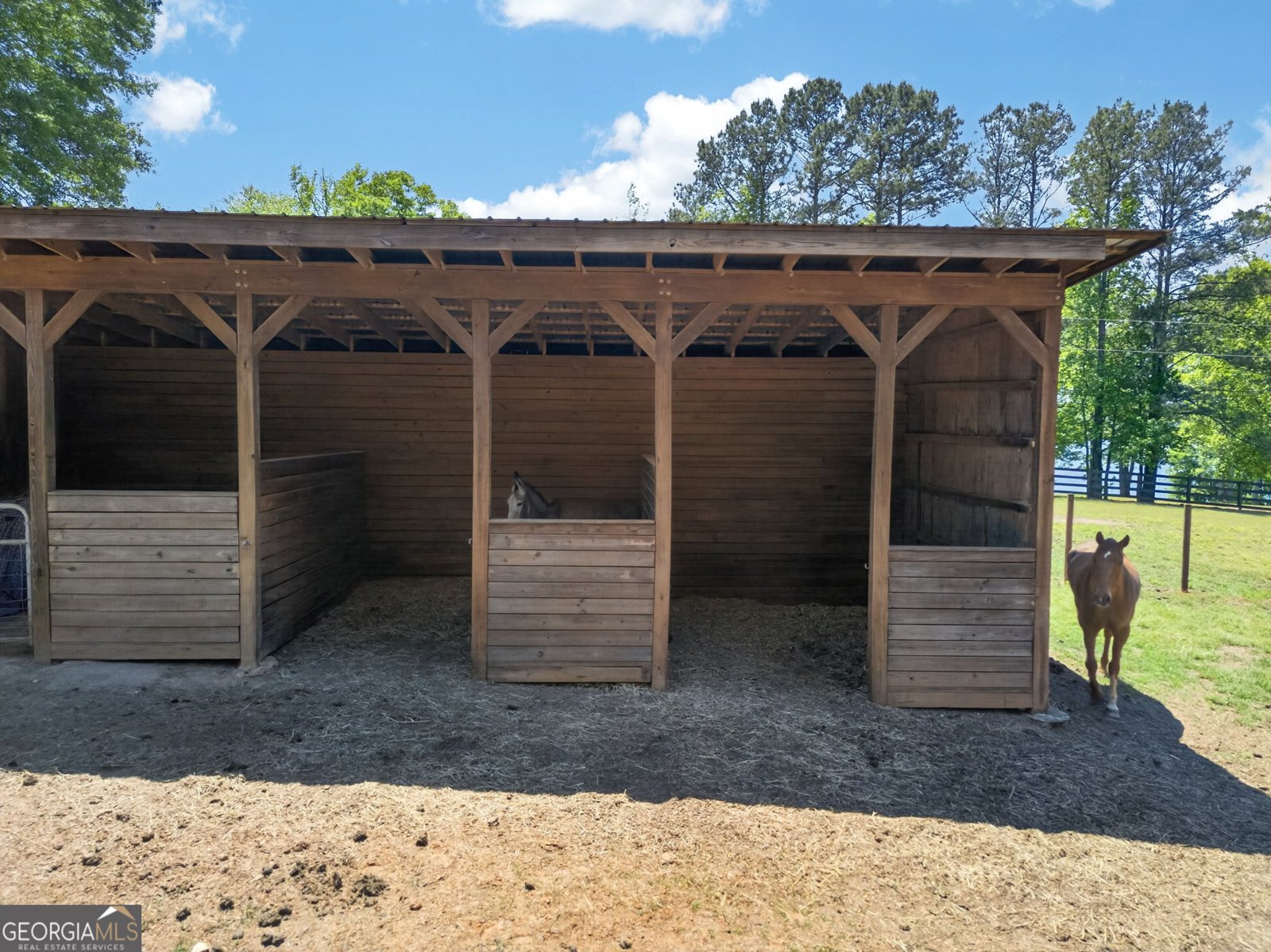 1110 Old Driver Road Whitesburg - Photo 35