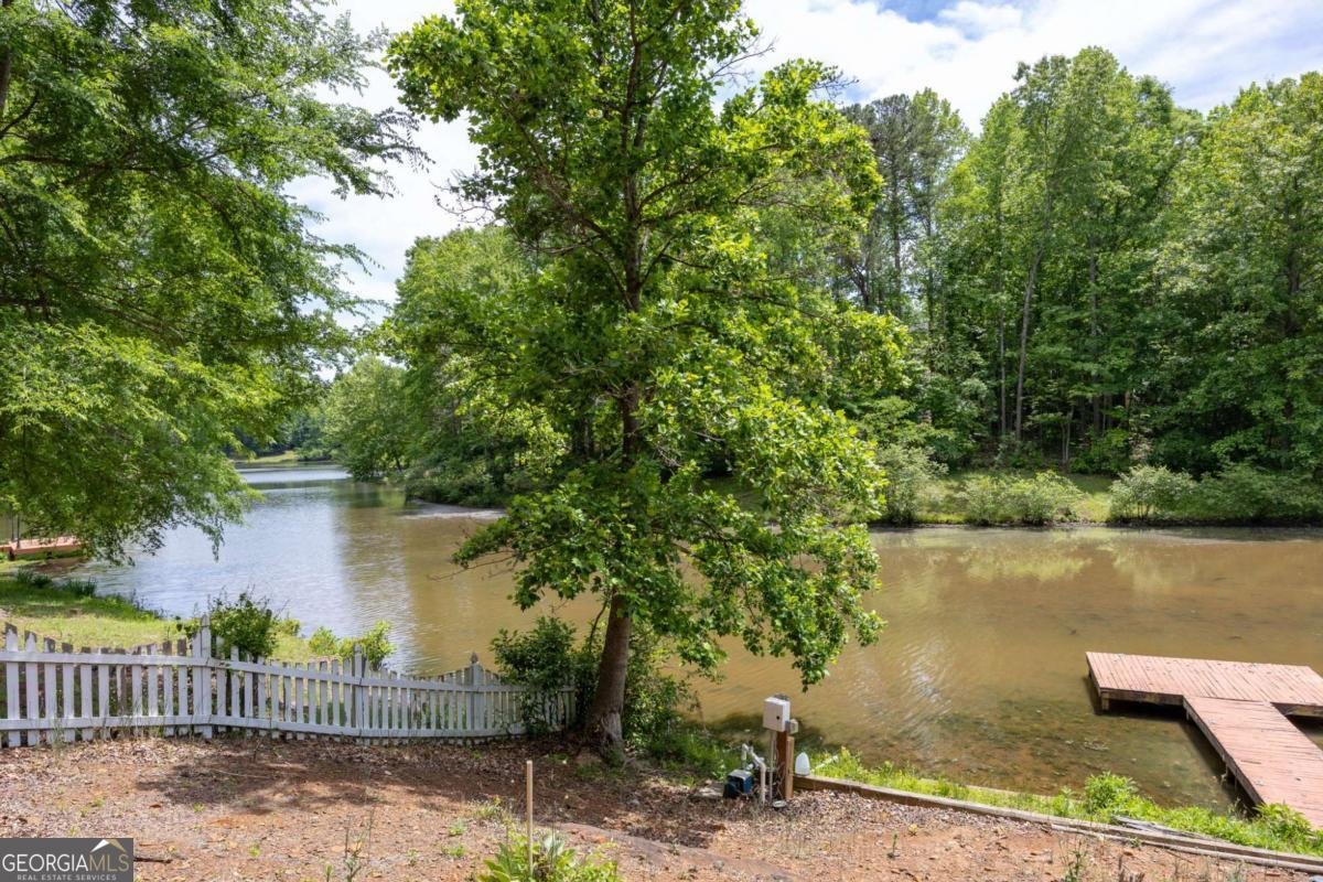 302 Lakeview Lane Hiram - Photo 48