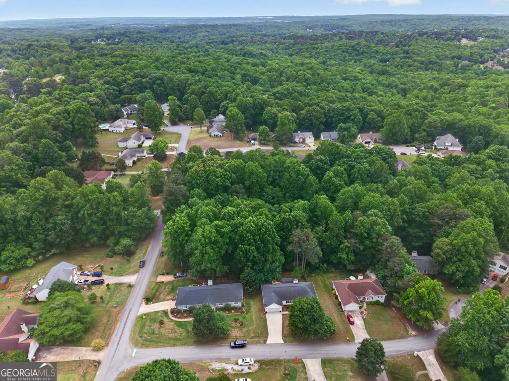 4405 Nohl Crest Lane Flowery Branch - Photo 43