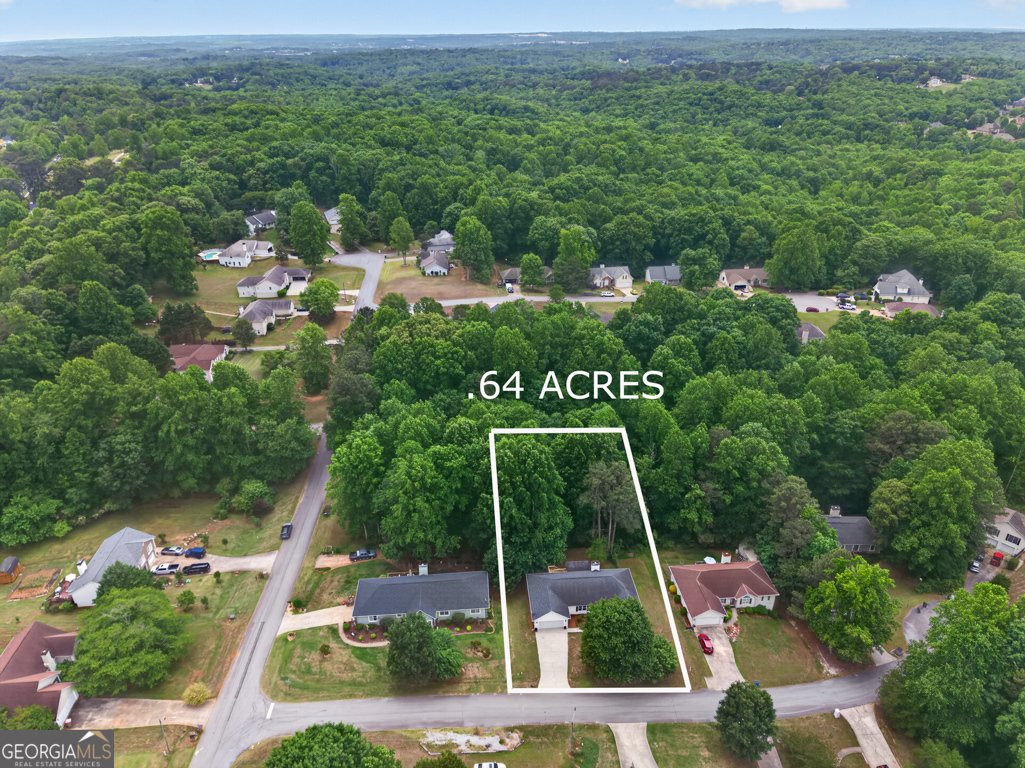 4405 Nohl Crest Lane Flowery Branch - Photo 44