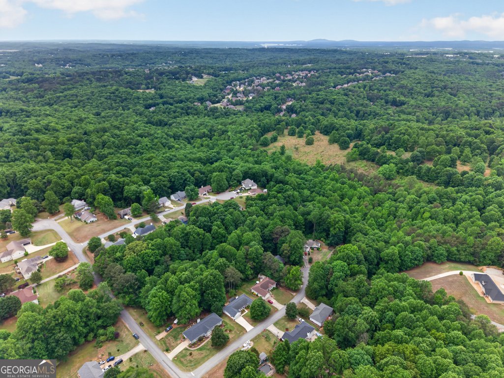 4405 Nohl Crest Lane Flowery Branch - Photo 45