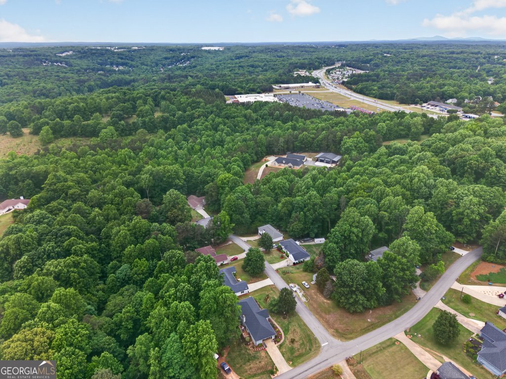 4405 Nohl Crest Lane Flowery Branch - Photo 46