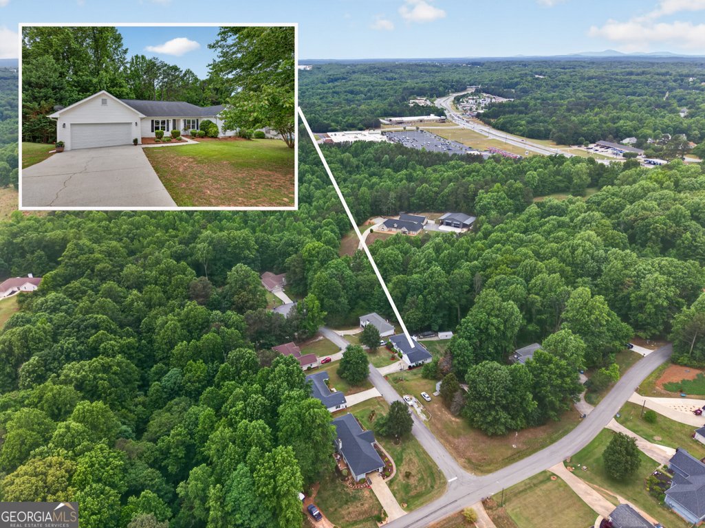4405 Nohl Crest Lane Flowery Branch - Photo 47
