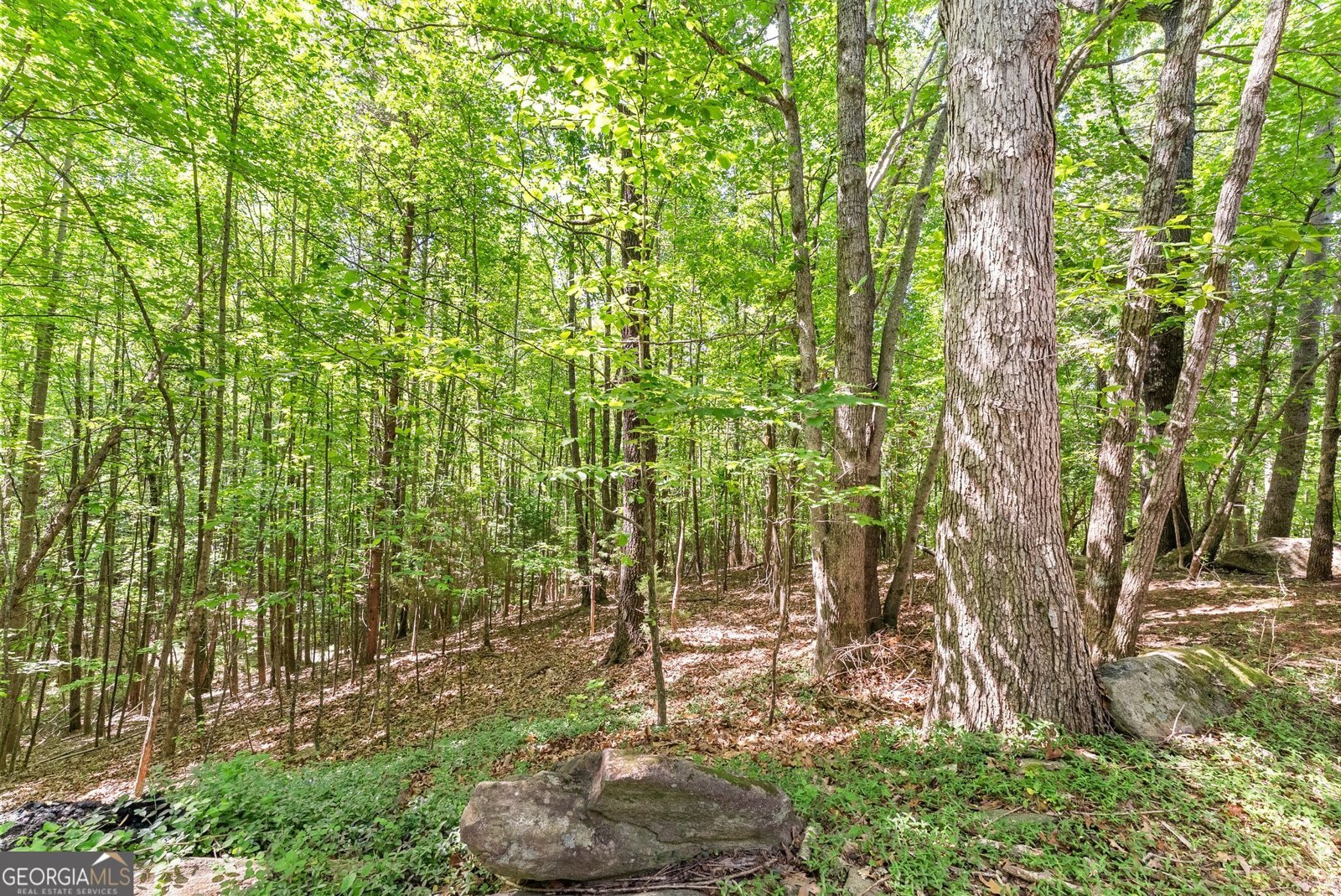 544 Cameron Road Cleveland - Photo 47