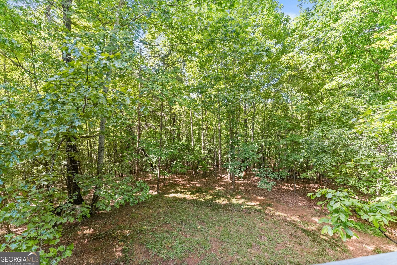 544 Cameron Road Cleveland - Photo 48