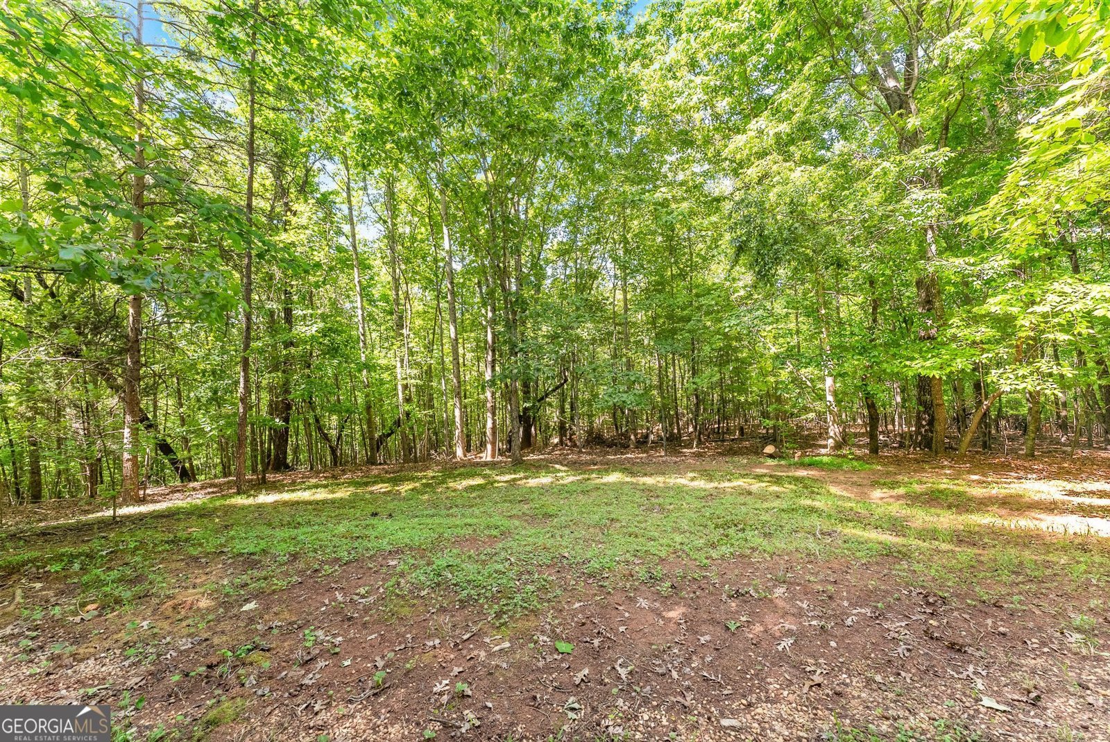 544 Cameron Road Cleveland - Photo 49