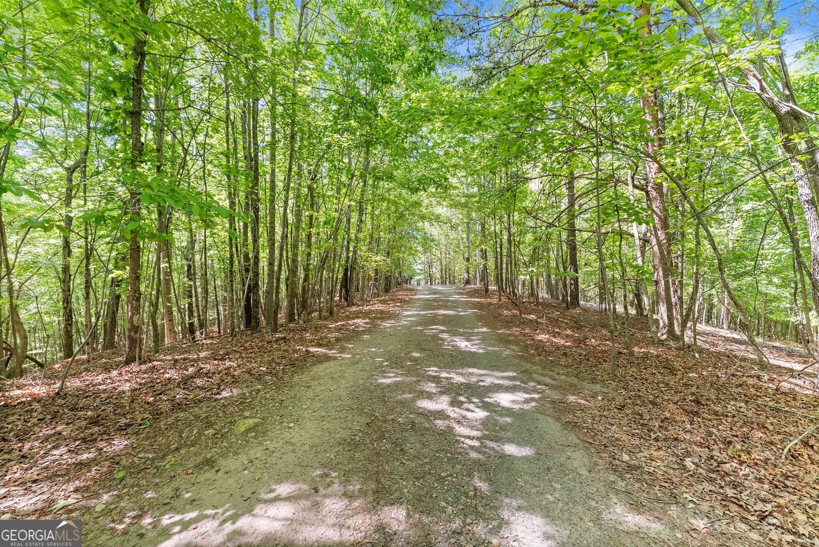 544 Cameron Road Cleveland - Photo 51