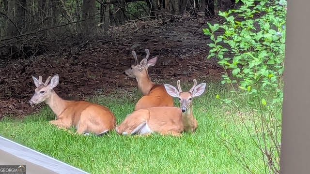 544 Cameron Road Cleveland - Photo 58