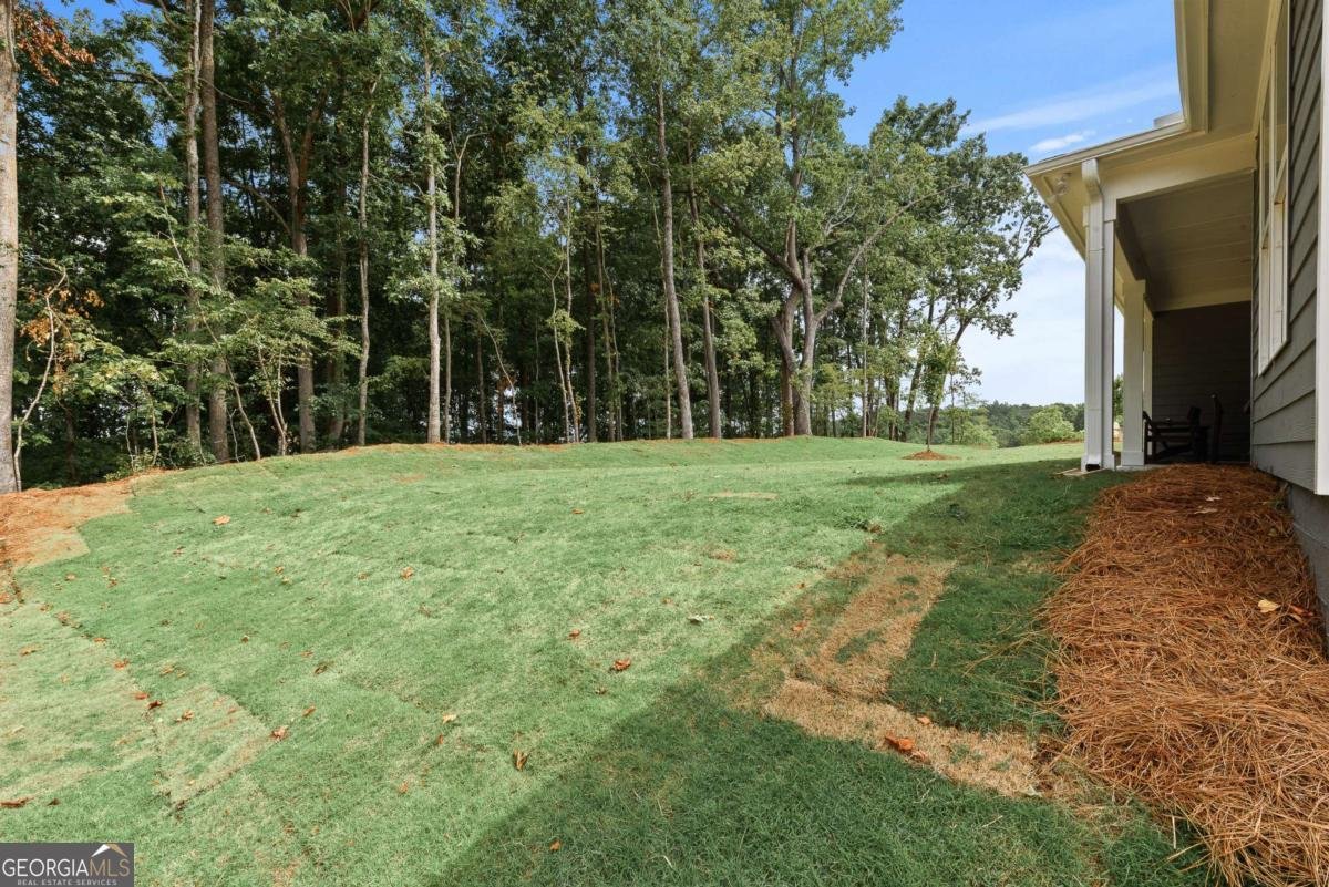 905 Hillwood Circle Villa Rica - Photo 35