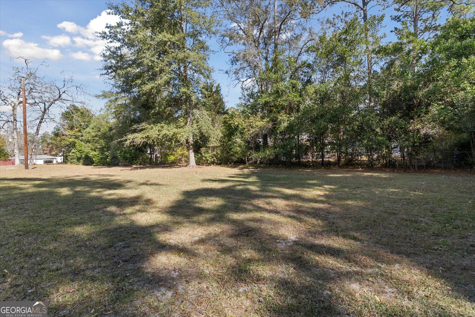 706 Main Street Statesboro - Photo 24
