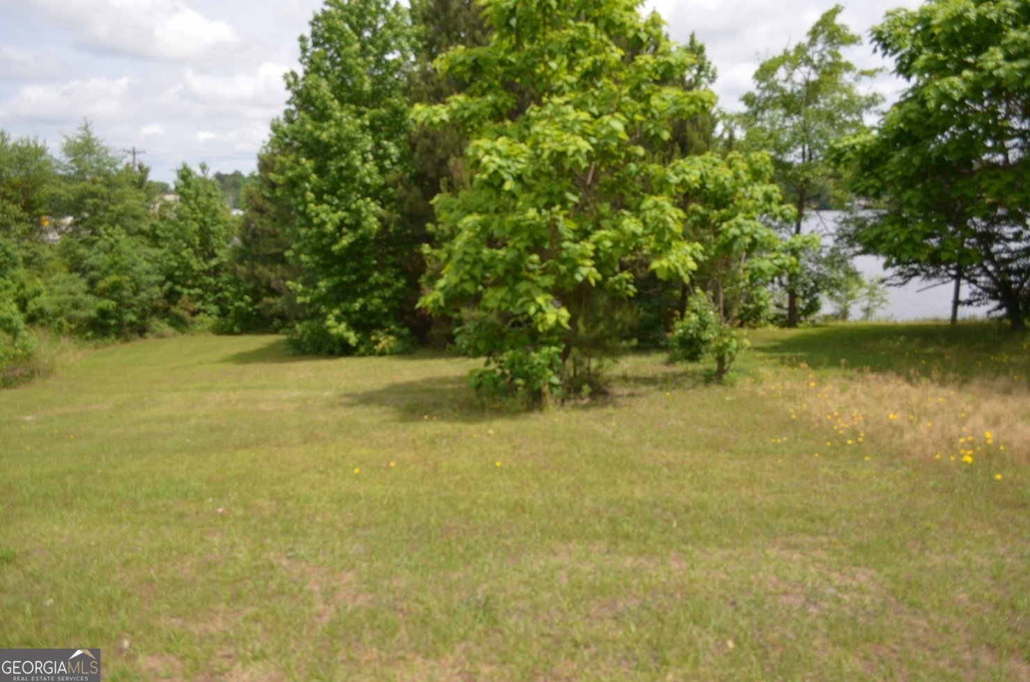 103 Lakeview Ivey - Photo 16
