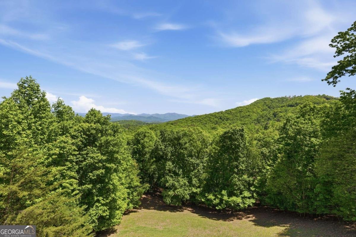 1065 Smokerise Drive Hayesville - Photo 25