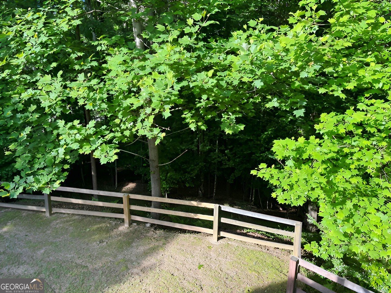 2069 Harmony Drive Canton - Photo 48