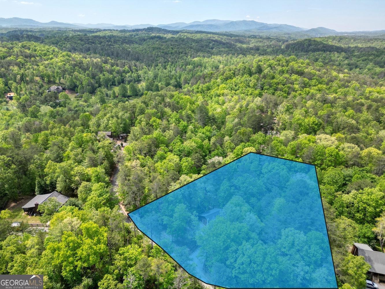215 The Woods Road Mineral Bluff - Photo 42