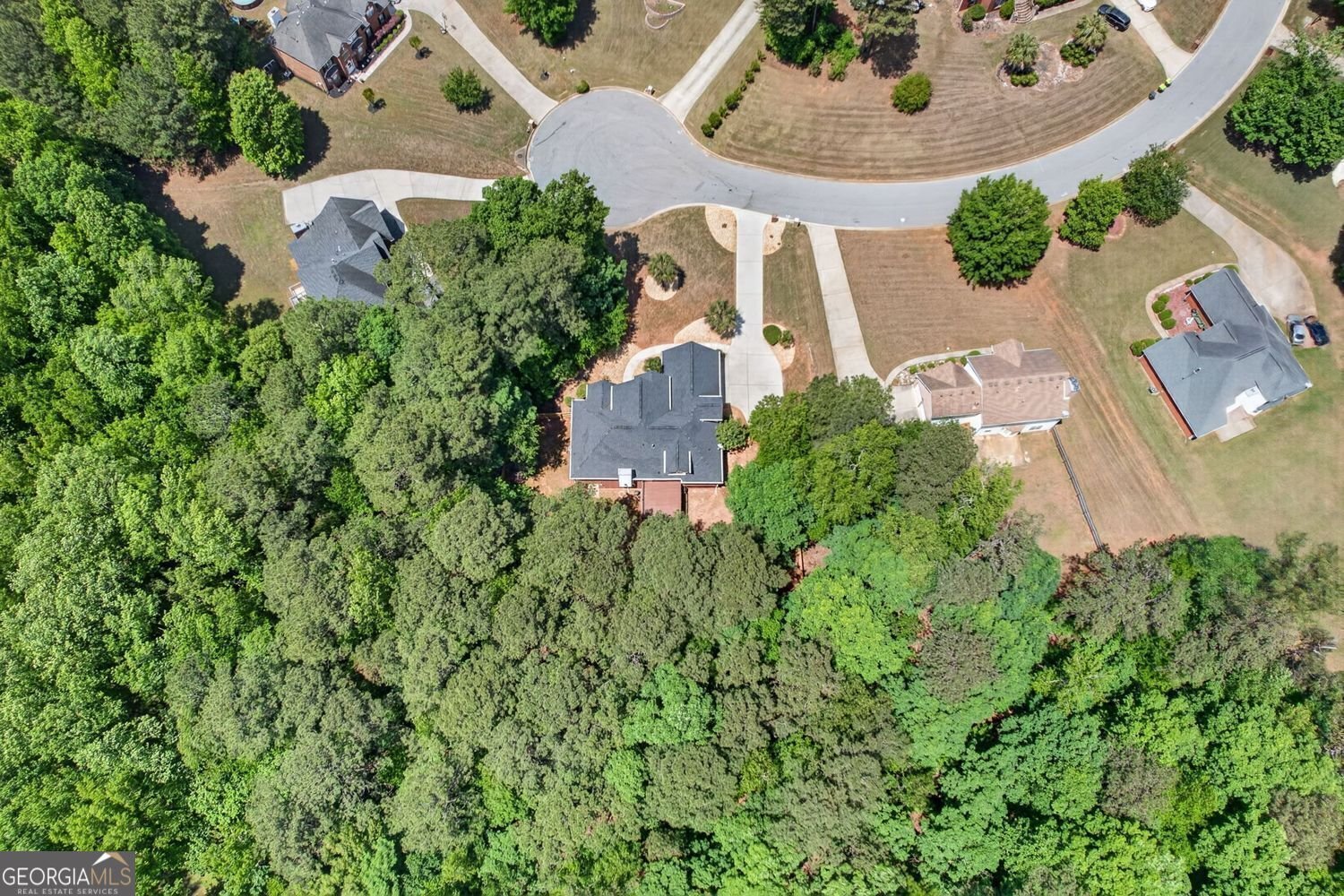 560 Brook Hollow Drive McDonough - Photo 53