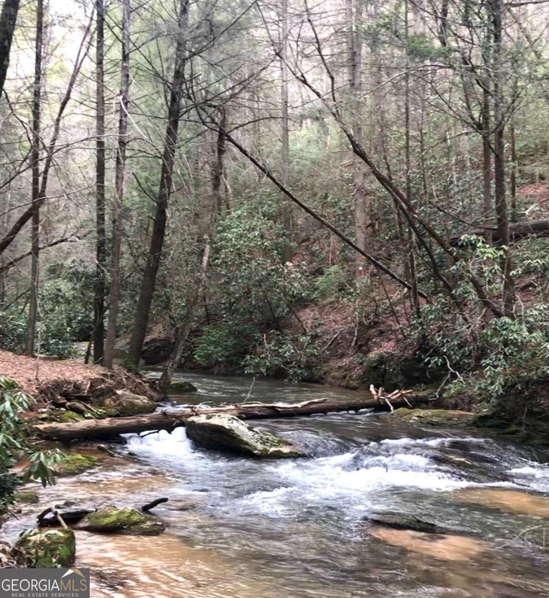 106 Nimblewill Overlook Dahlonega - Photo 51