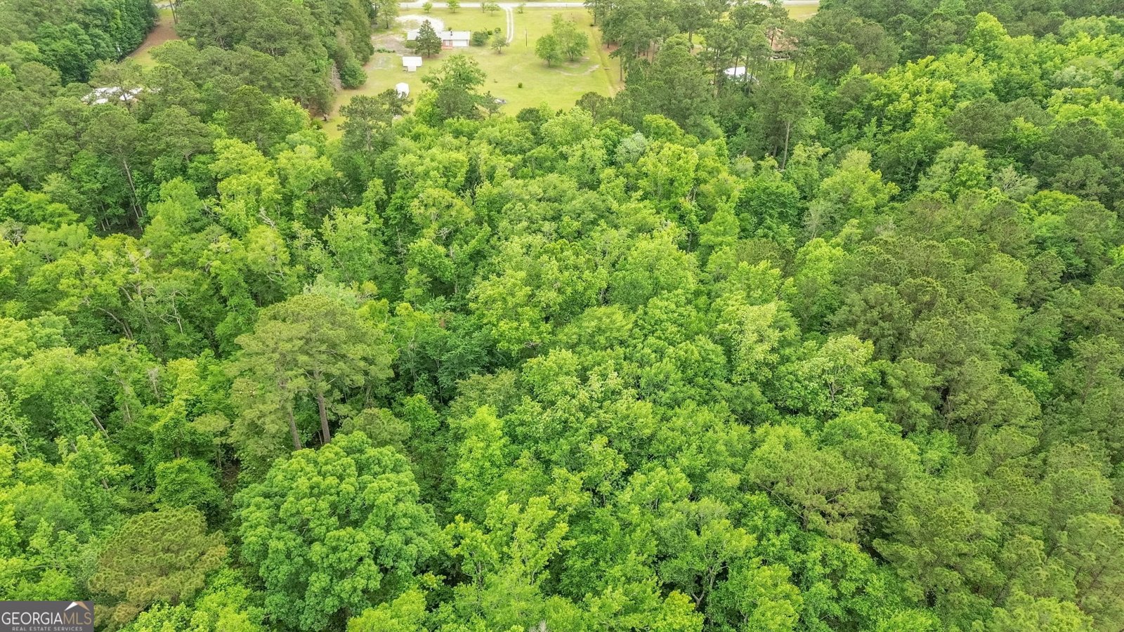 112 Oak Street Rincon - Photo 44