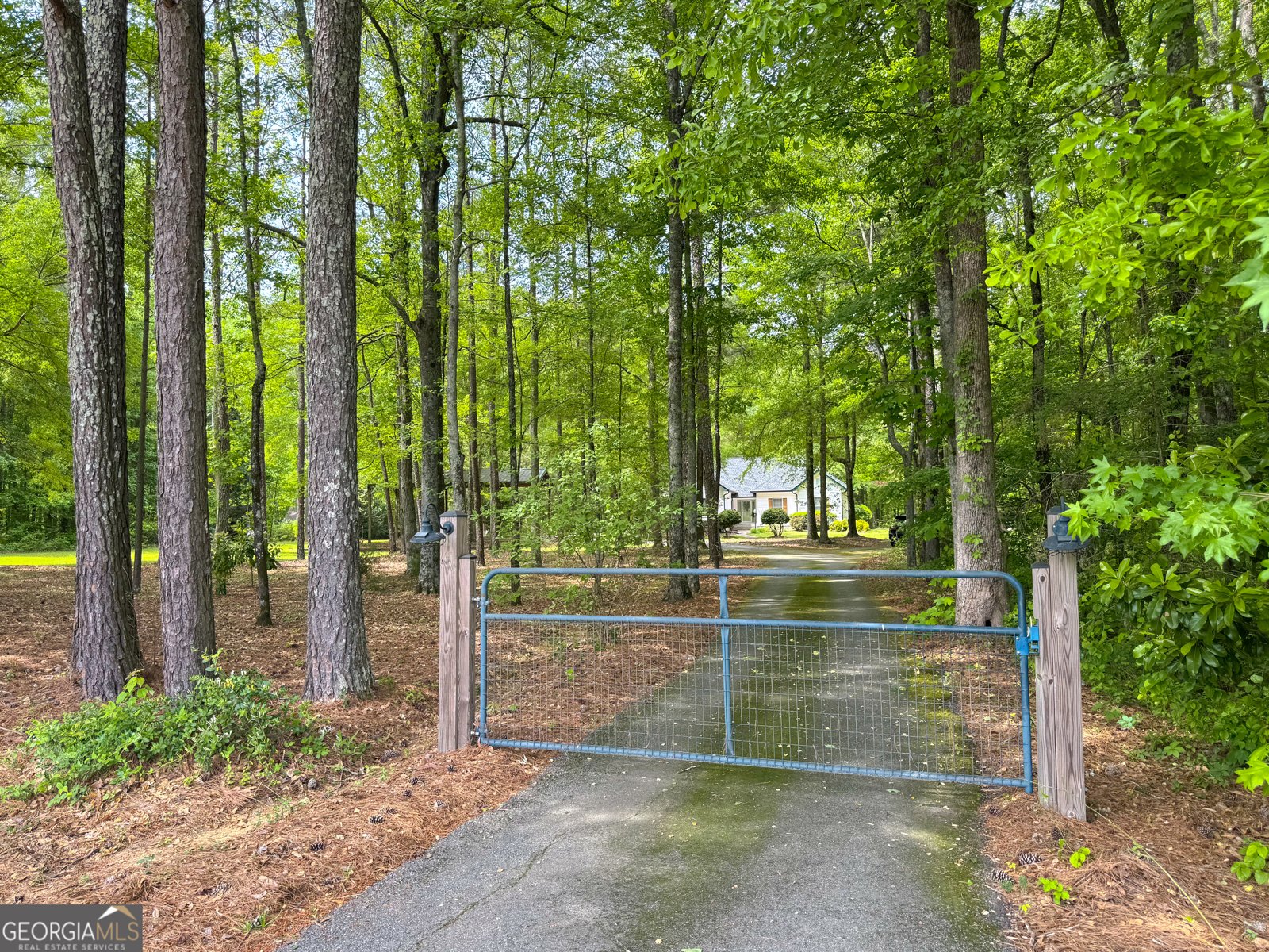 514 Rose Hill Road Meansville - Photo 41