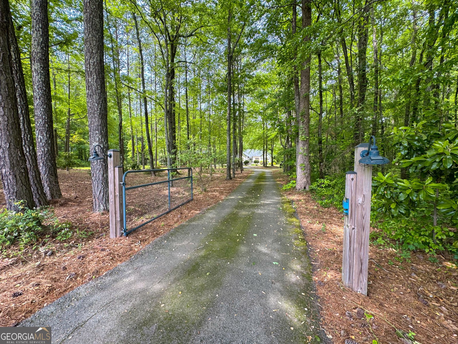 514 Rose Hill Road Meansville - Photo 42