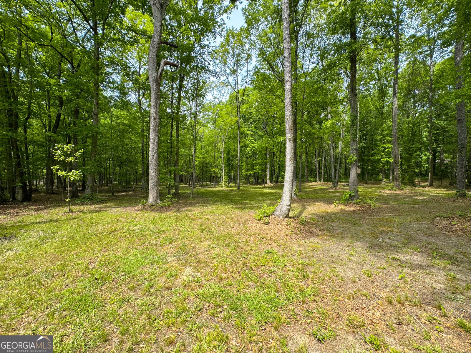 514 Rose Hill Road Meansville - Photo 49