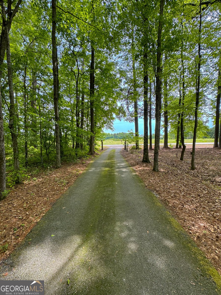514 Rose Hill Road Meansville - Photo 63