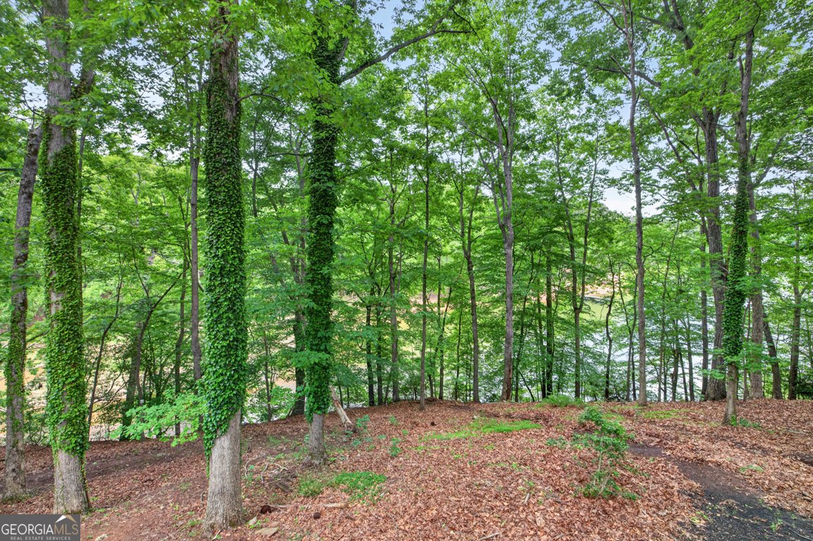 3327 Hickory Point Gainesville - Photo 53